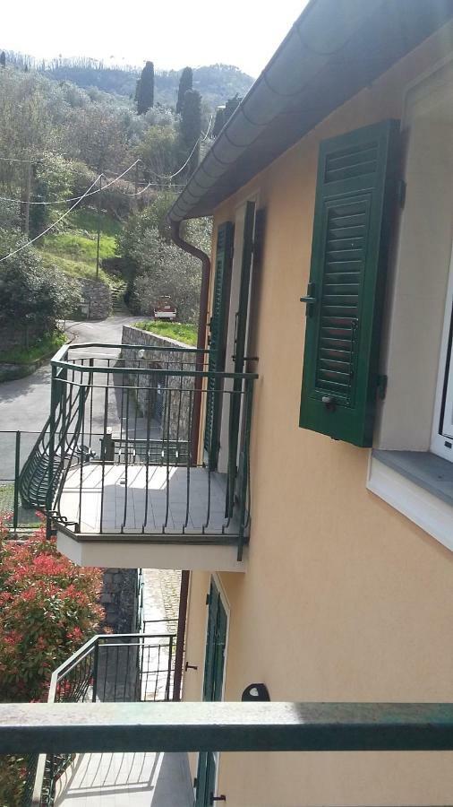 Villa The Palm House Santa Margherita Ligure Esterno foto